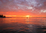 Botany Bay Sunrise Paddle