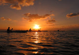 Botany Bay Sunrise Paddle